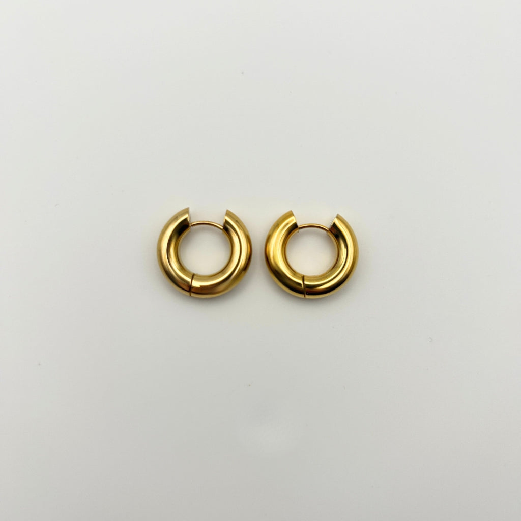 Bold Hoops