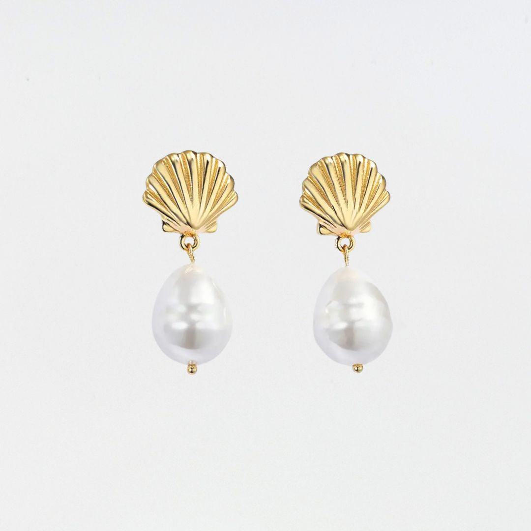 Shell Pearl Ohrringe