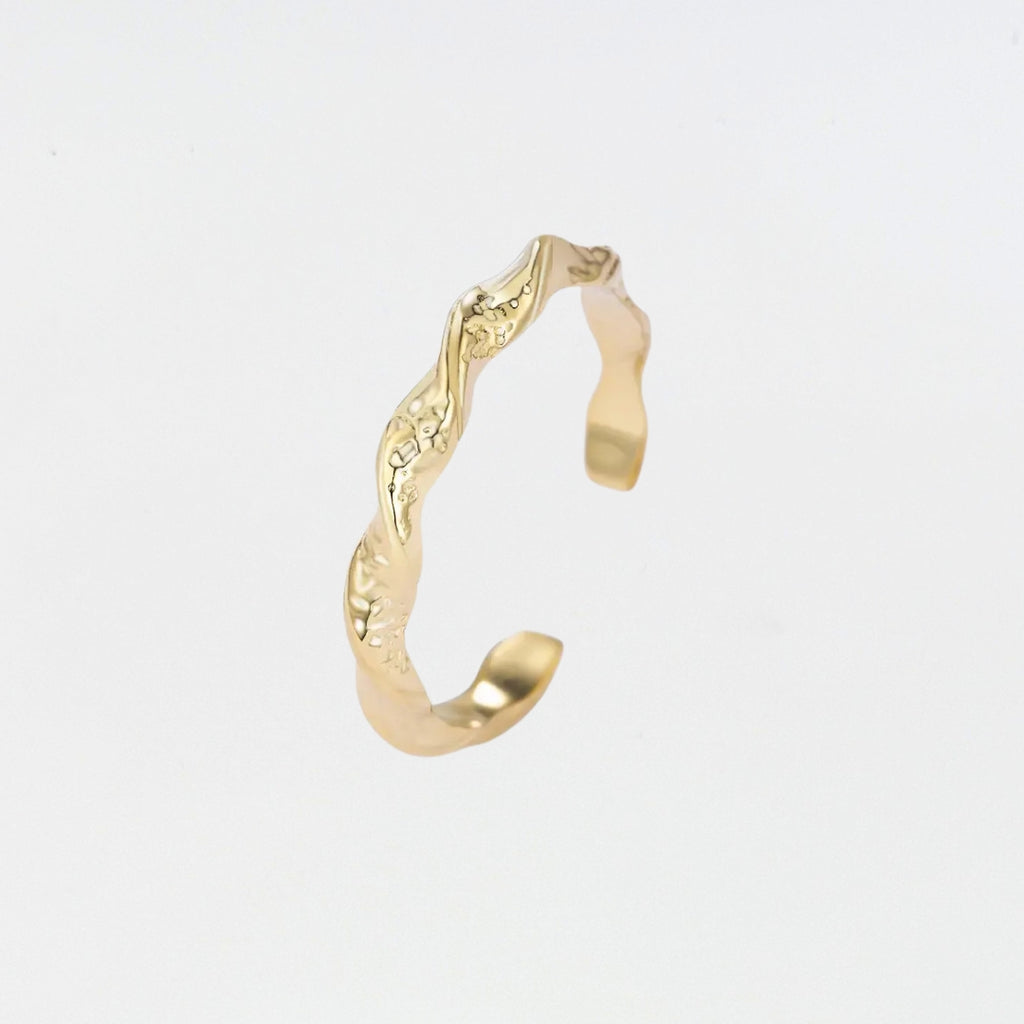 Terra Ring