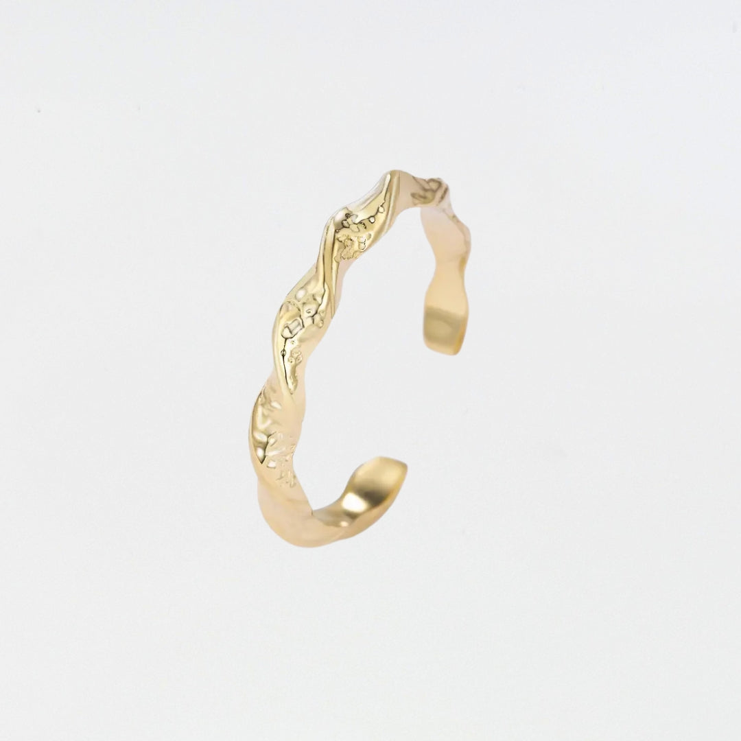 Terra Ring